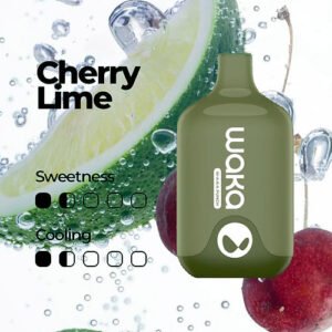 WAKA SMASH 6000 PUFF – CHERRY LIME