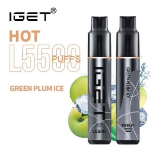 iGET HOT VAPE 5500 PUFF – GREEN PLUM ICE