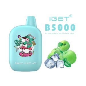 iGET B5000 VAPE 5000 PUFF – GREEN PLUM ICE