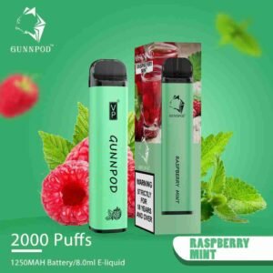 Raspberry Mint-2000 Puffs