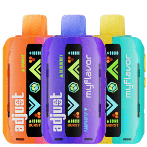 Adjust MyFlavor 40000 Disposable Vape (5%, 40000 Puffs)